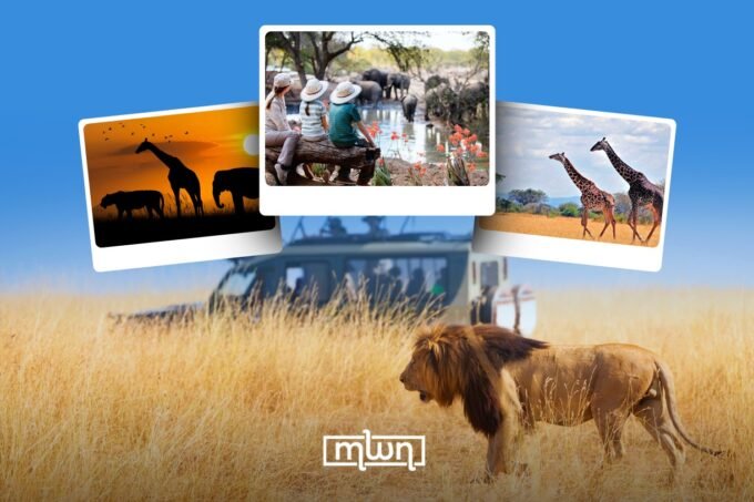 Unveiling Africa's Most Exquisite Luxury Safari Destinations 9 A luxury safari vehicle with guests observing elephants in the African savannah at sunset.