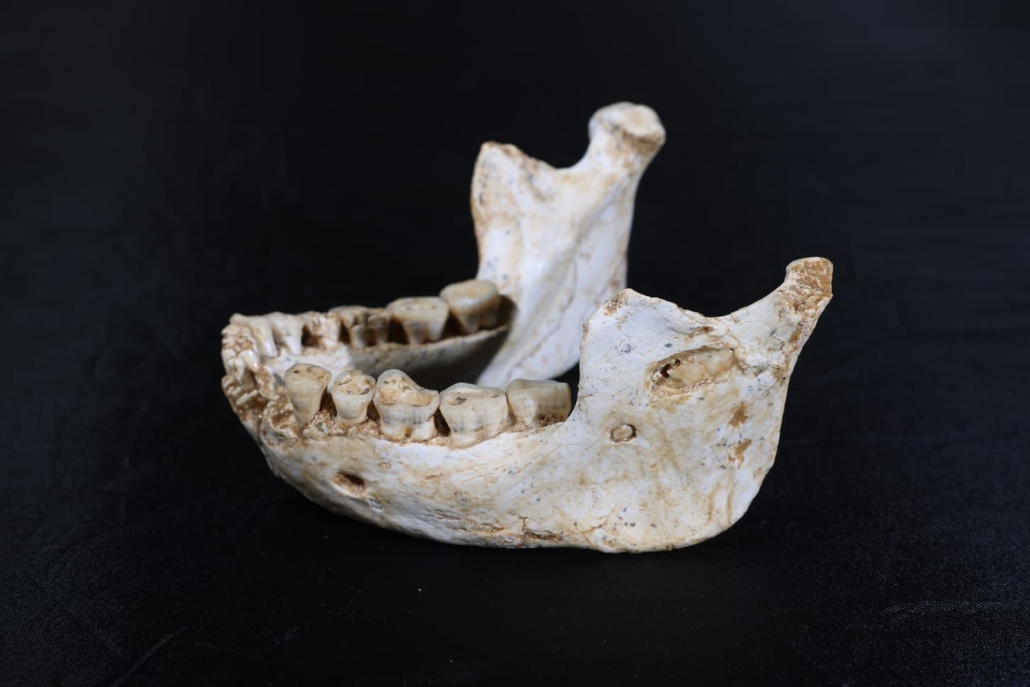Ancient human jawbone and teeth fossils discovered in Morocco, representing an early stage of human lineage.