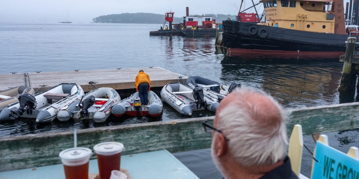 Illustration of a lobster, oysters, and crab, symbolizing the stolen seafood, with a shadowy figure or truck in the background, representing theft.