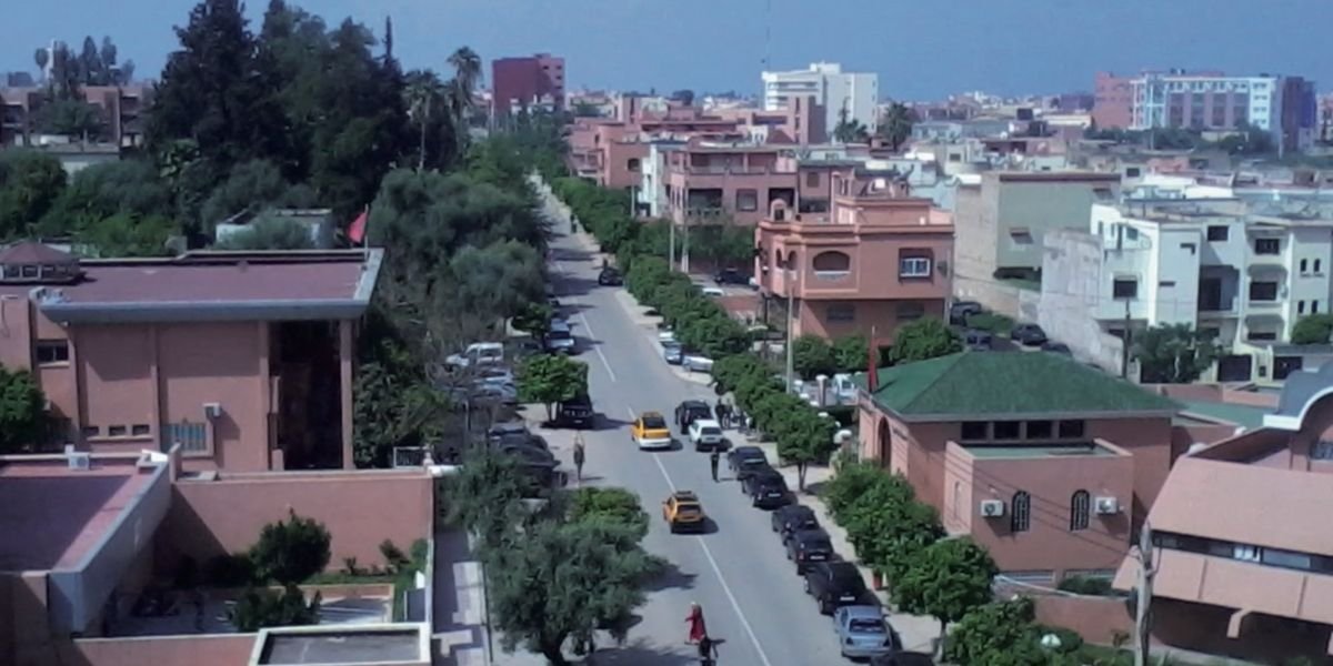Champ d'oliviers luxuriants dans le Moyen-Atlas marocain, avec des travailleurs récoltant les olives sous un ciel clair.