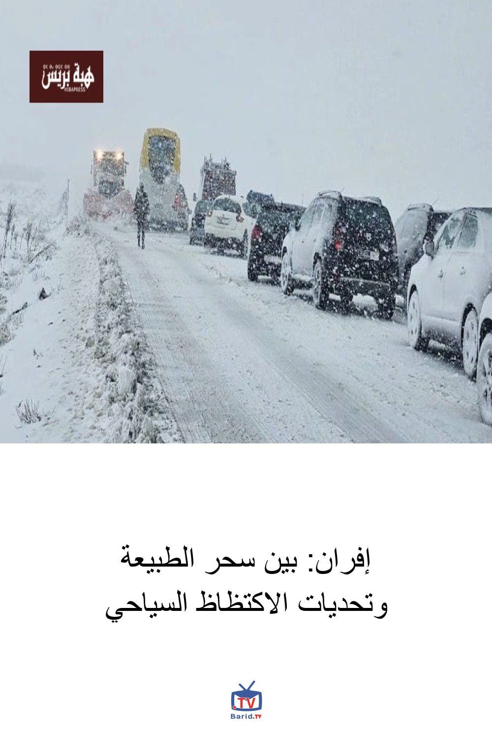 إفران: بين سحر الطبيعة وتحديات الاكتظاظ السياحي 4 Pinterest Hidden