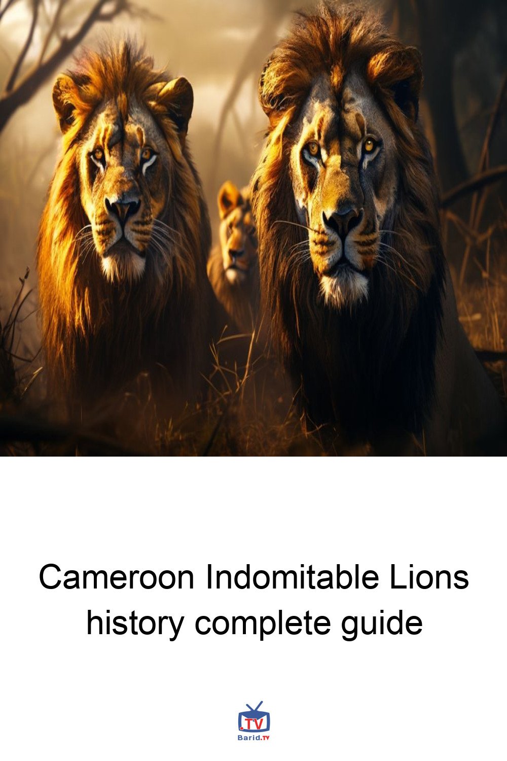 Cameroon Indomitable Lions history complete guide 4 Pinterest Hidden