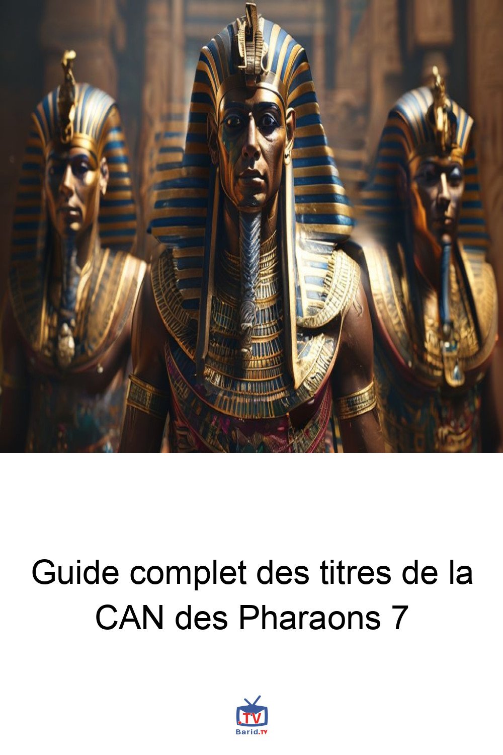 Guide complet des titres de la CAN des Pharaons 7 4 Pinterest Hidden