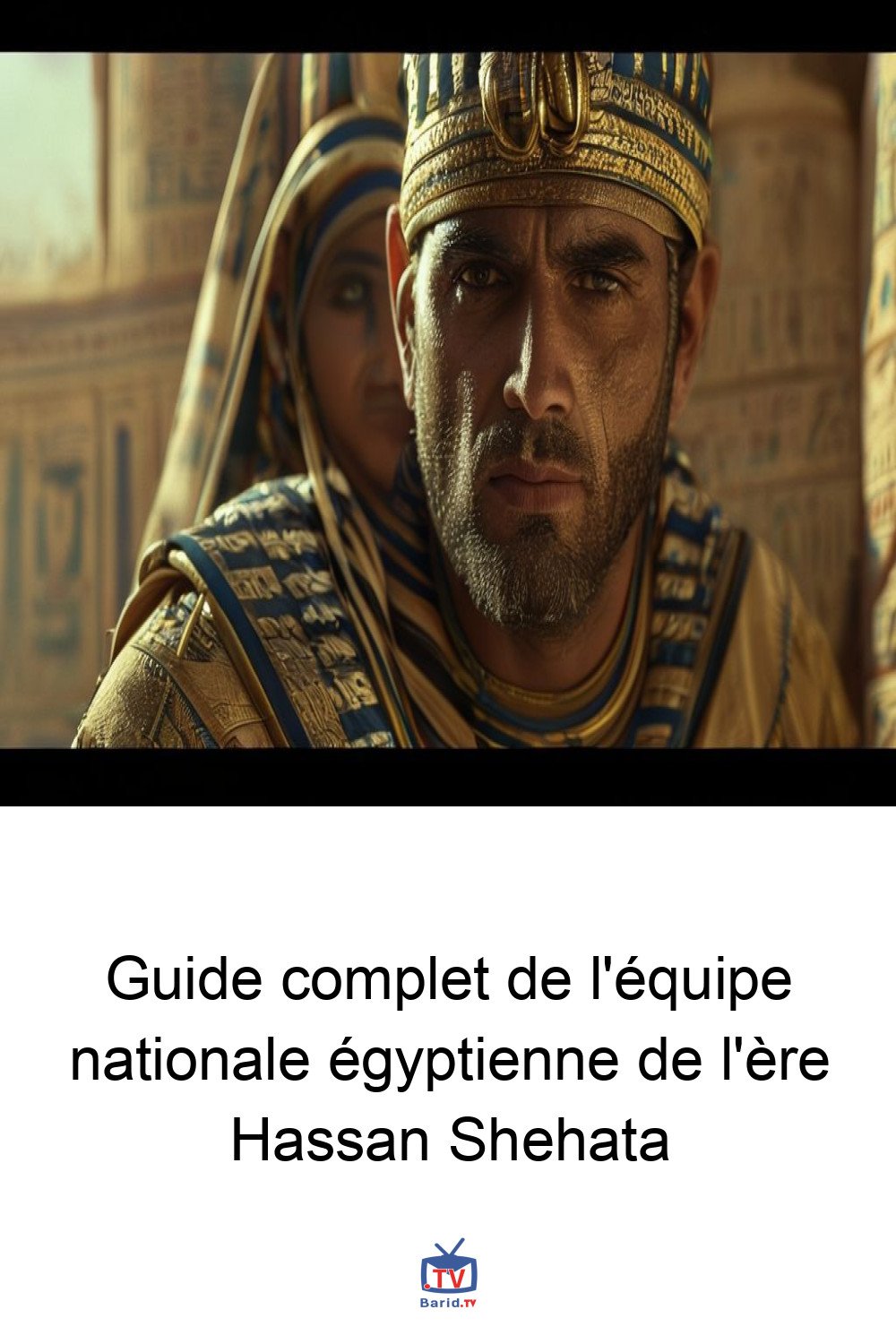 Guide complet de l'équipe nationale égyptienne de l'ère Hassan Shehata 4 Pinterest Hidden