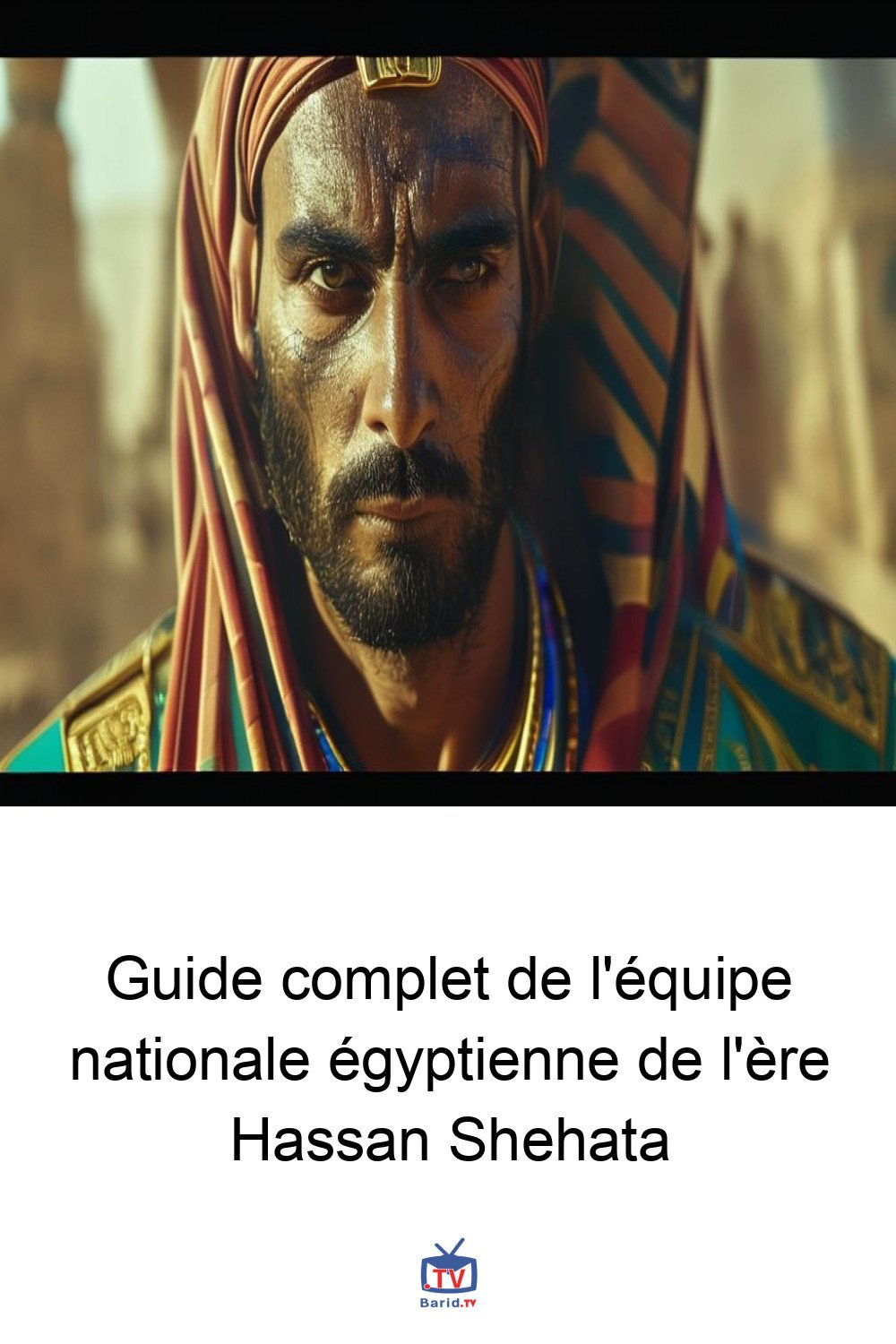 Guide complet de l'équipe nationale égyptienne de l'ère Hassan Shehata 4 Pinterest Hidden