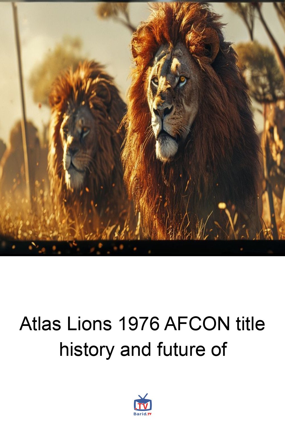 Atlas Lions 1976 AFCON title history and future of 4 Pinterest Hidden