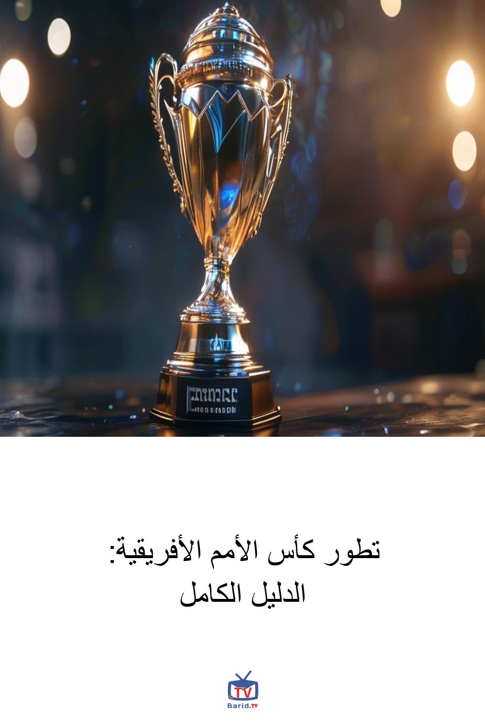 تطور كأس الأمم الأفريقية: الدليل الكامل 4 Pinterest Hidden