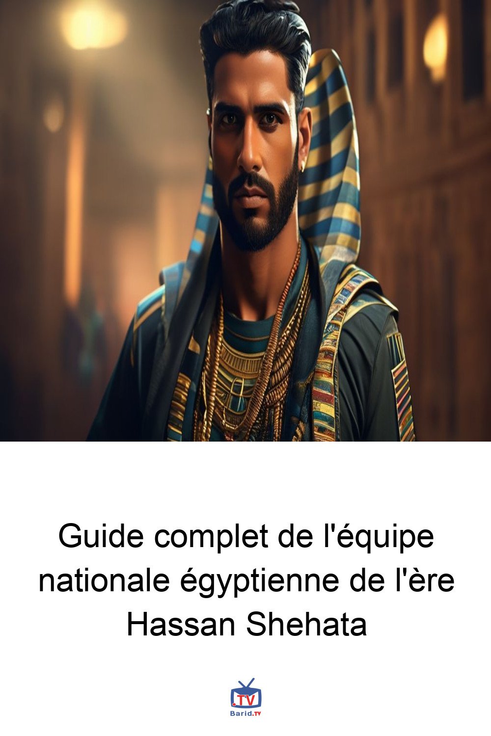 Guide complet de l'équipe nationale égyptienne de l'ère Hassan Shehata 4 Pinterest Hidden