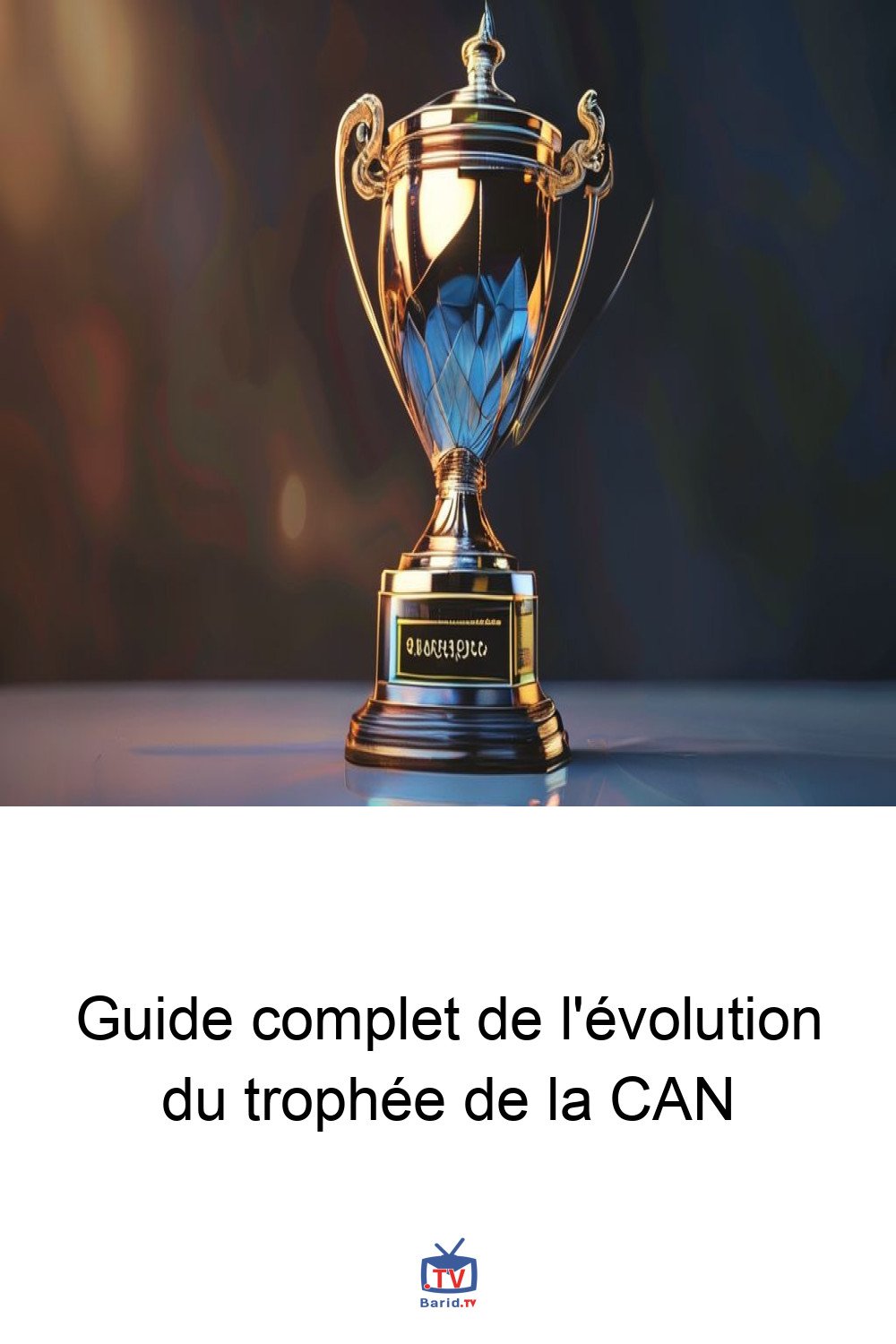Guide complet de l'évolution du trophée de la CAN 4 Pinterest Hidden