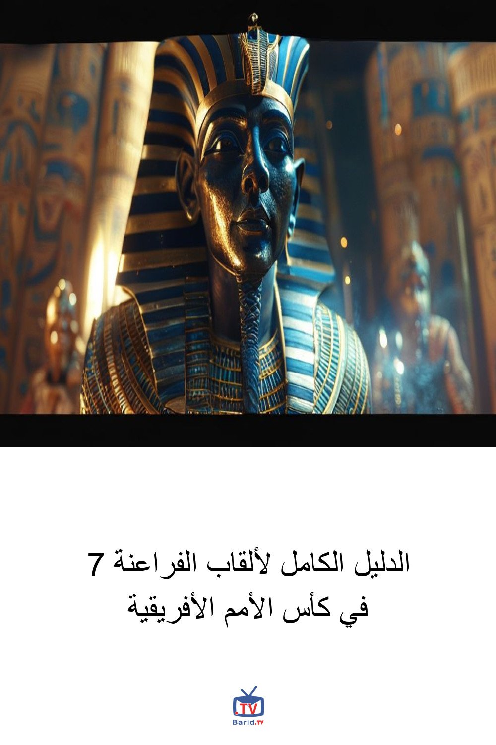 الدليل الكامل لألقاب الفراعنة 7 في كأس الأمم الأفريقية 4 Pinterest Hidden