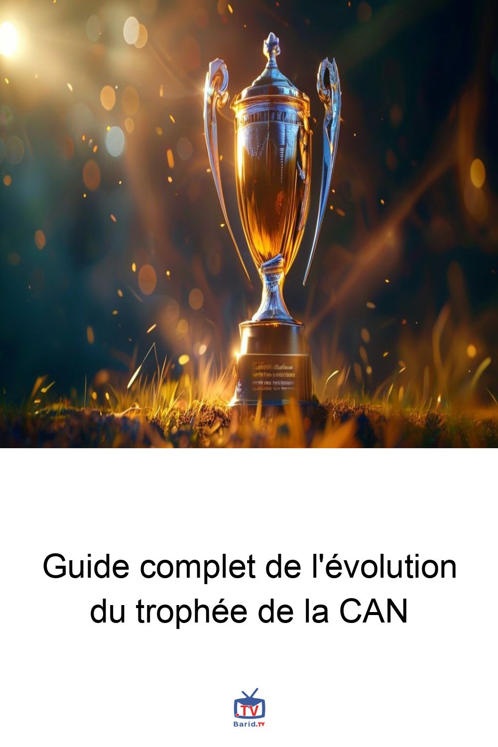 Guide complet de l'évolution du trophée de la CAN 4 Pinterest Hidden