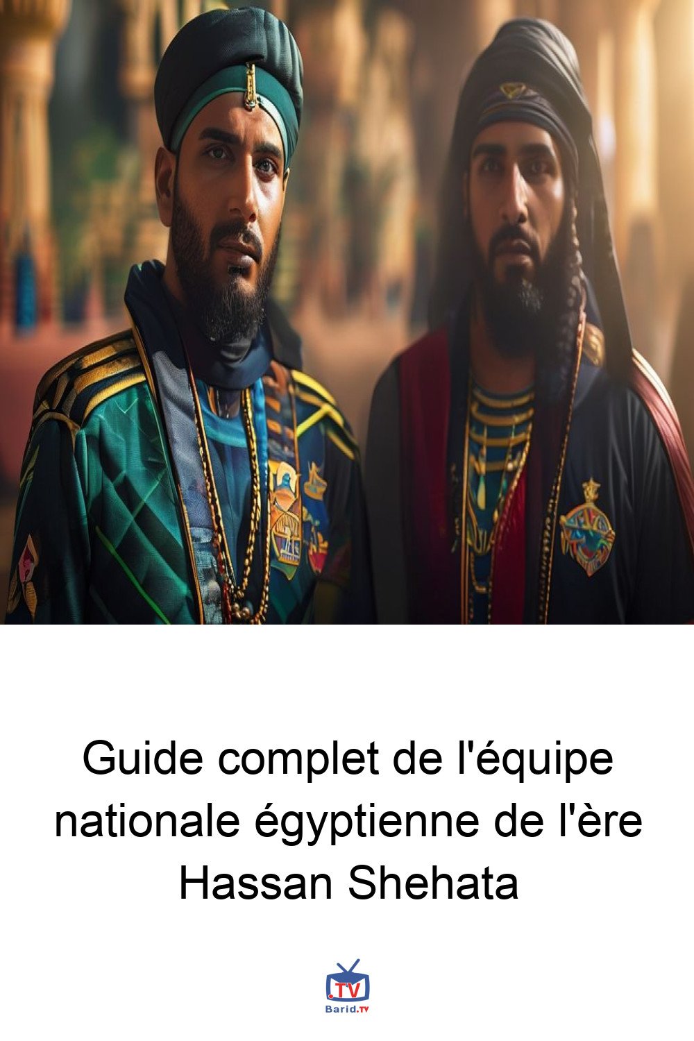 Guide complet de l'équipe nationale égyptienne de l'ère Hassan Shehata 4 Pinterest Hidden