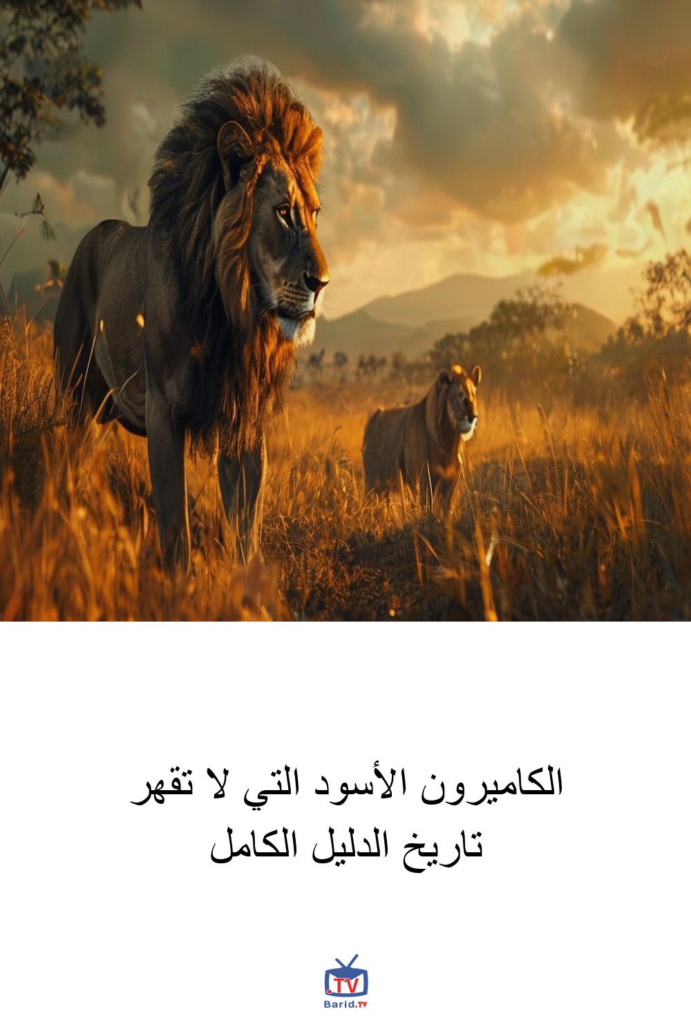 الكاميرون الأسود التي لا تقهر تاريخ الدليل الكامل 4 Pinterest Hidden