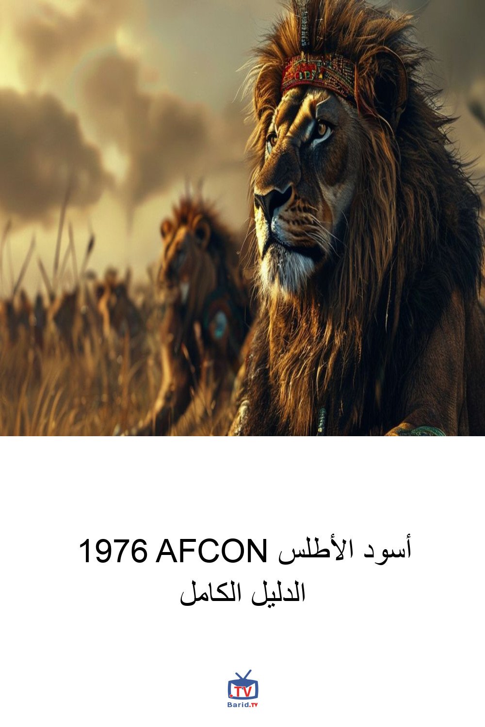 أسود الأطلس 1976 AFCON الدليل الكامل 4 Pinterest Hidden