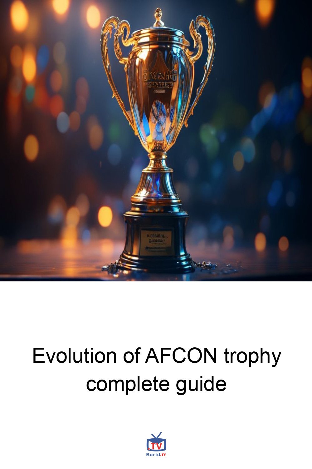 Evolution of AFCON trophy complete guide 4 Pinterest Hidden