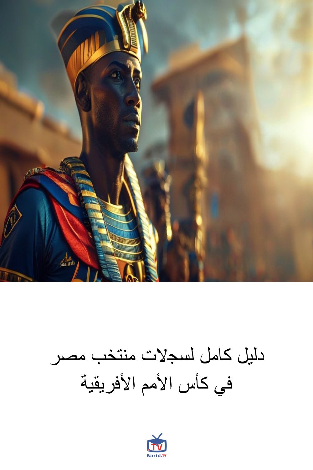 دليل كامل لسجلات منتخب مصر في كأس الأمم الأفريقية 4 Pinterest Hidden