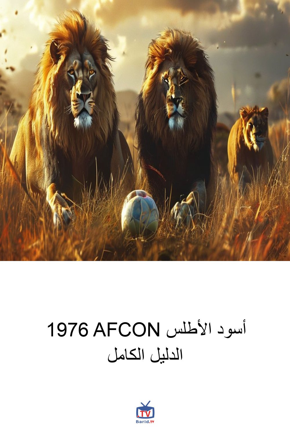 أسود الأطلس 1976 AFCON الدليل الكامل 4 Pinterest Hidden
