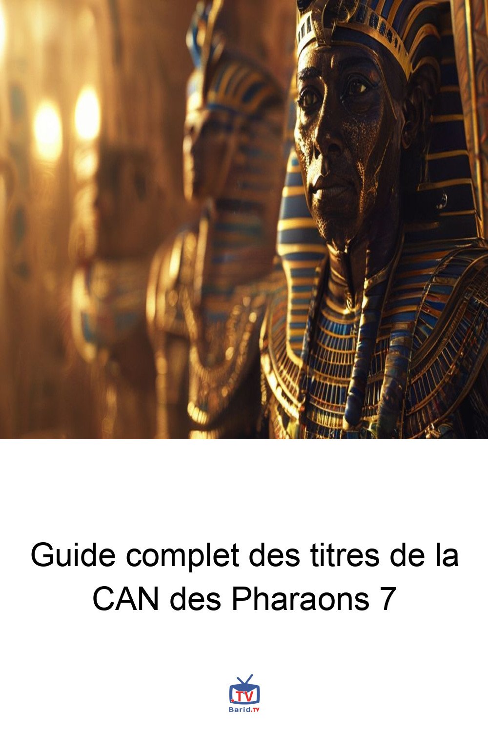Guide complet des titres de la CAN des Pharaons 7 4 Pinterest Hidden