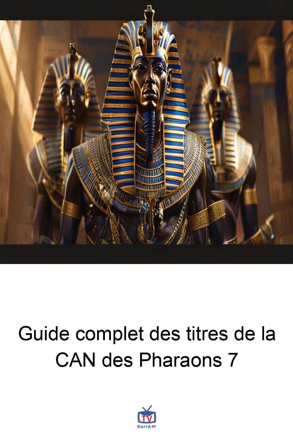 Guide complet des titres de la CAN des Pharaons 7 4 Pinterest Hidden