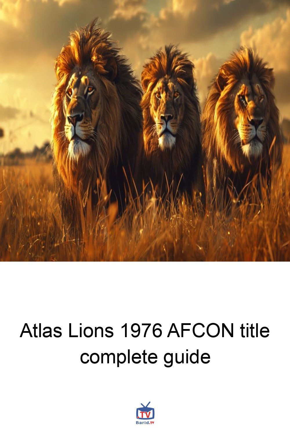 Atlas Lions 1976 AFCON title complete guide 4 Pinterest Hidden