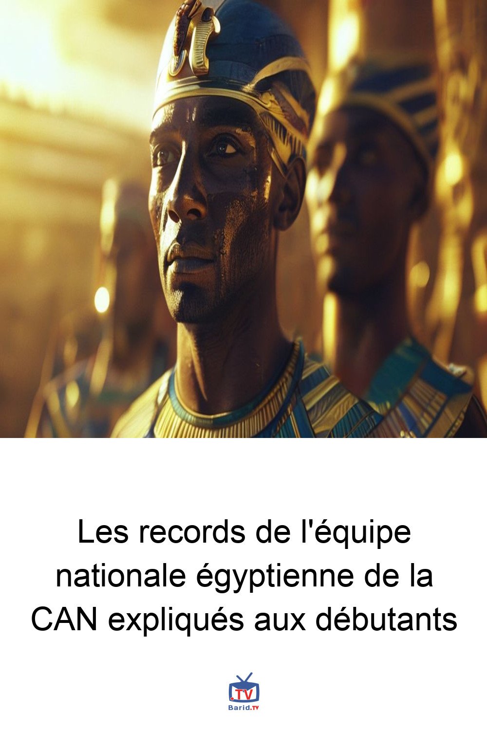 Les records de l'équipe nationale égyptienne de la CAN expliqués aux débutants 4 Pinterest Hidden