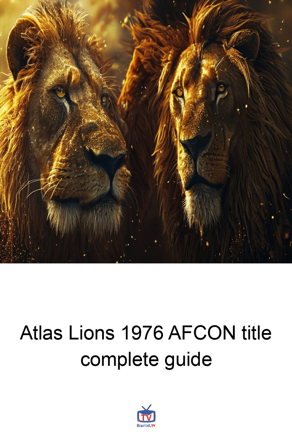 Atlas Lions 1976 AFCON title complete guide 4 Pinterest Hidden