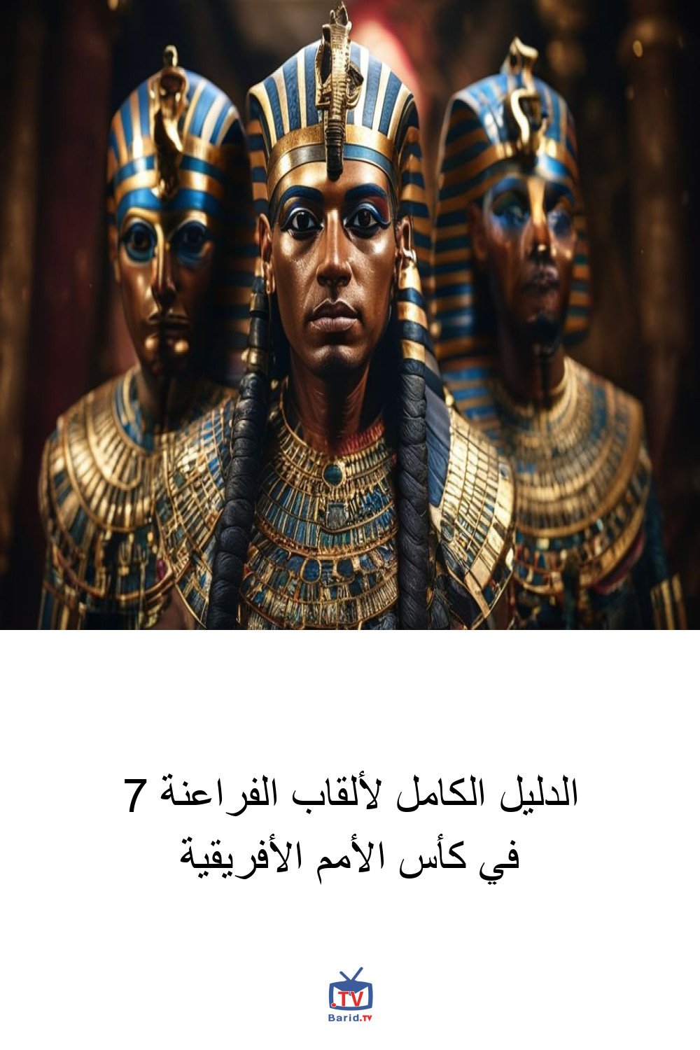 الدليل الكامل لألقاب الفراعنة 7 في كأس الأمم الأفريقية 4 Pinterest Hidden