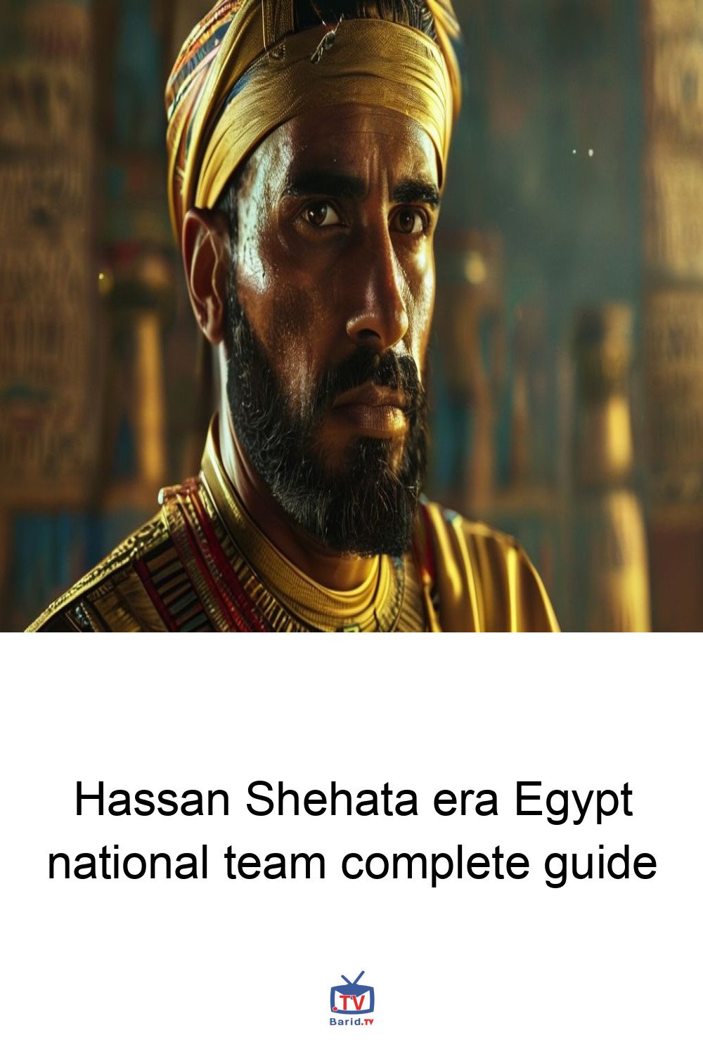 Hassan Shehata era Egypt national team complete guide 4 Pinterest Hidden