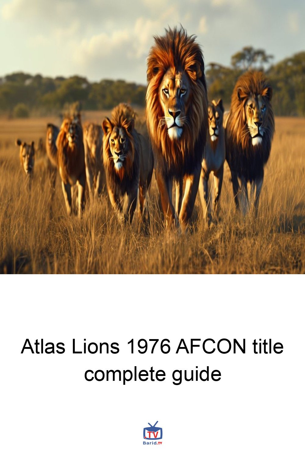 Atlas Lions 1976 AFCON title complete guide 4 Pinterest Hidden