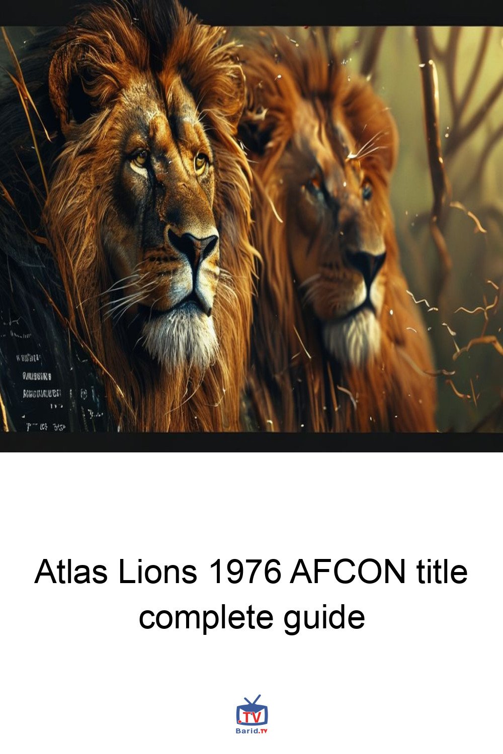 Atlas Lions 1976 AFCON title complete guide 4 Pinterest Hidden