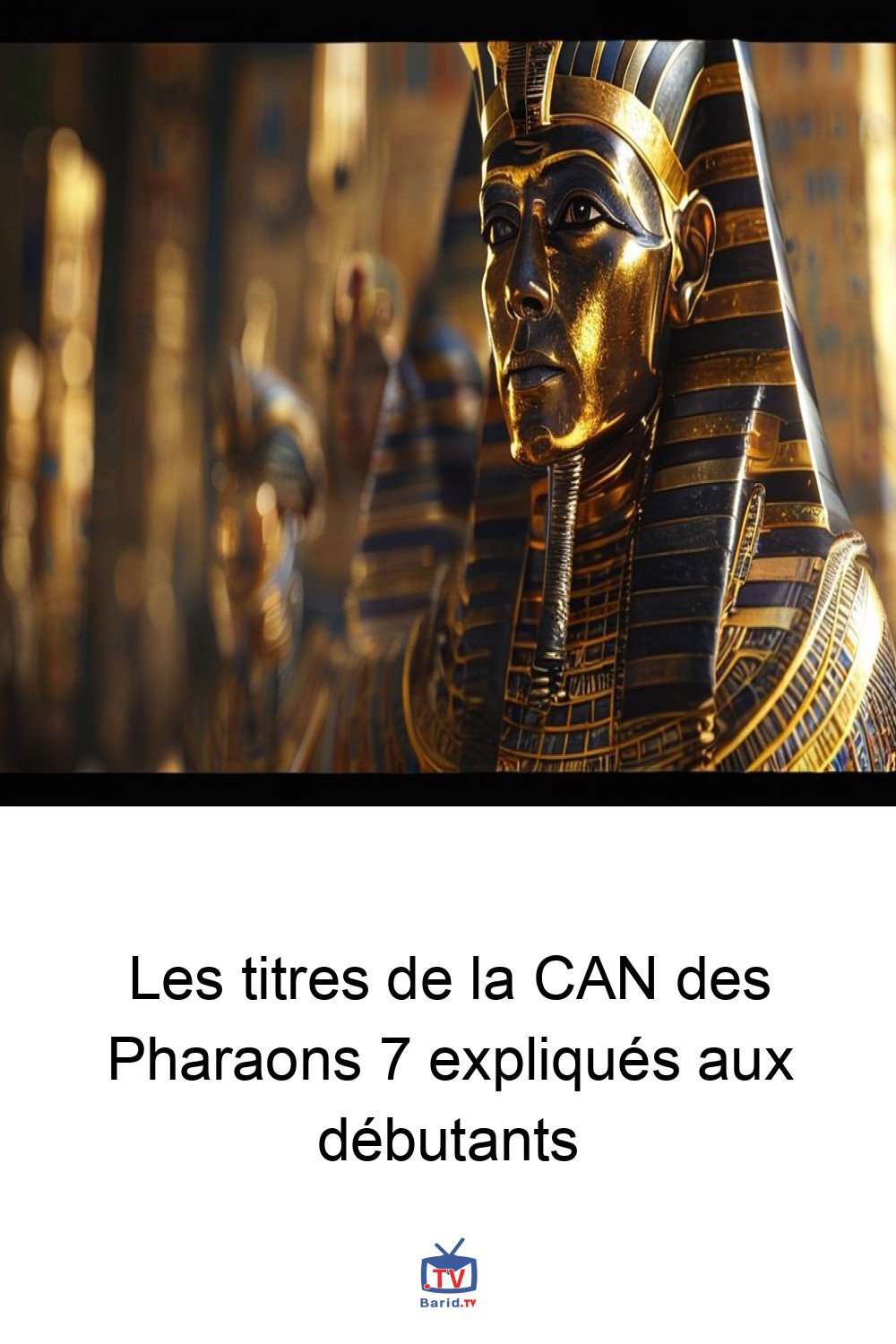 Les titres de la CAN des Pharaons 7 expliqués aux débutants 4 Pinterest Hidden