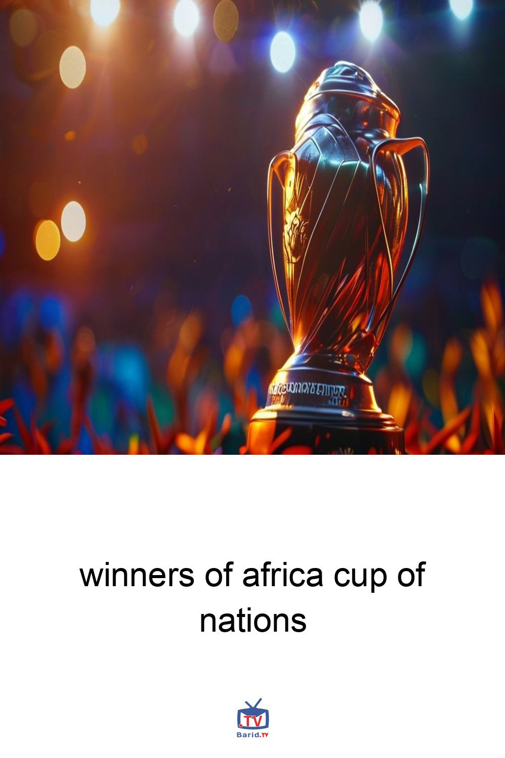 winners of africa cup of nations 4 Pinterest Hidden