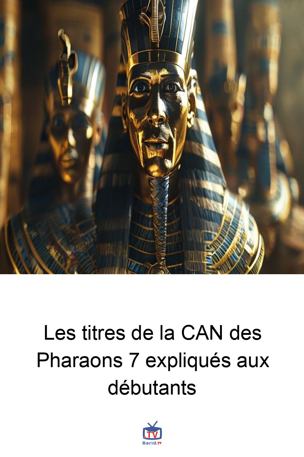 Les titres de la CAN des Pharaons 7 expliqués aux débutants 4 Pinterest Hidden