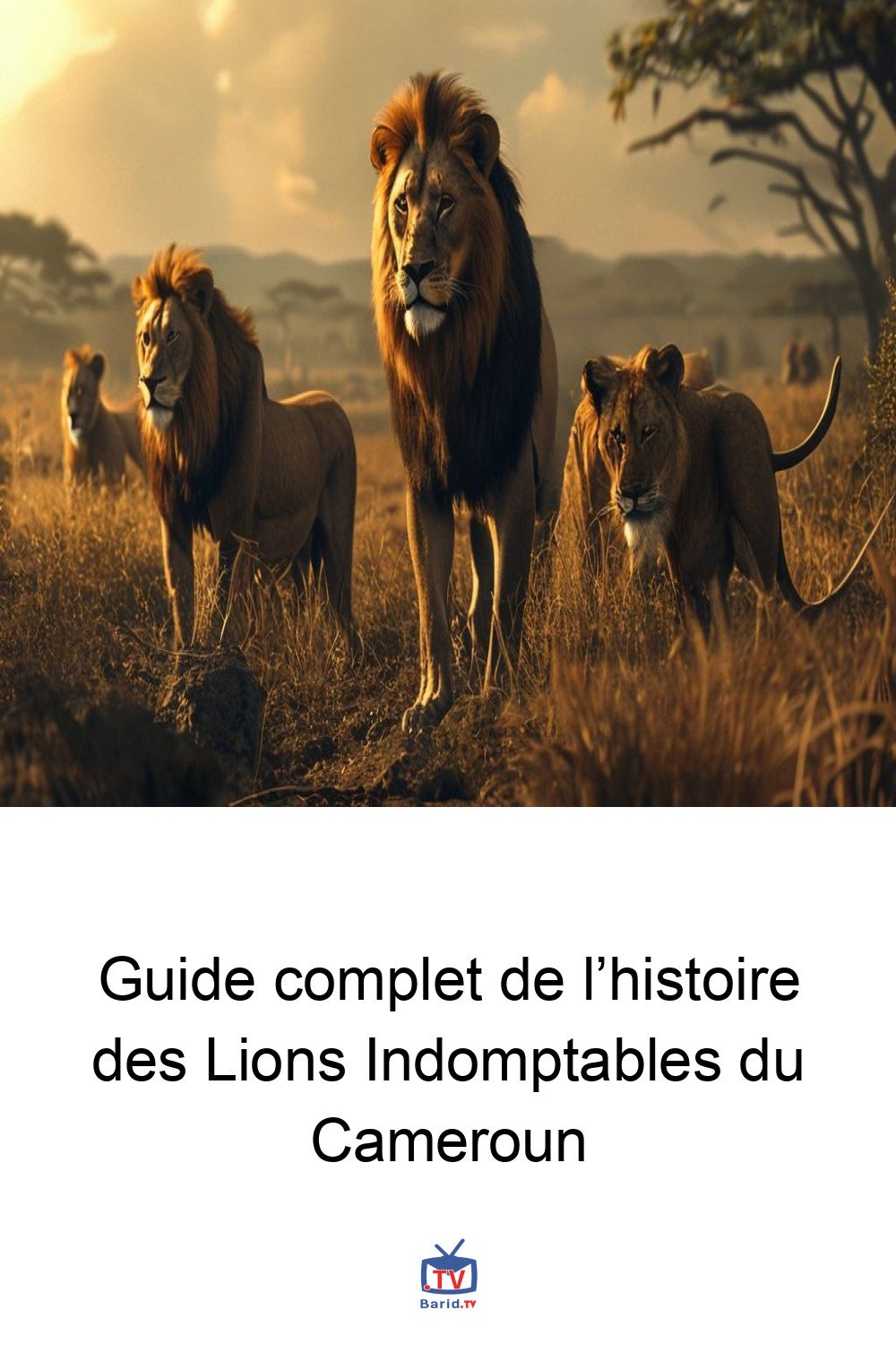 Guide complet de l’histoire des Lions Indomptables du Cameroun 4 Pinterest Hidden