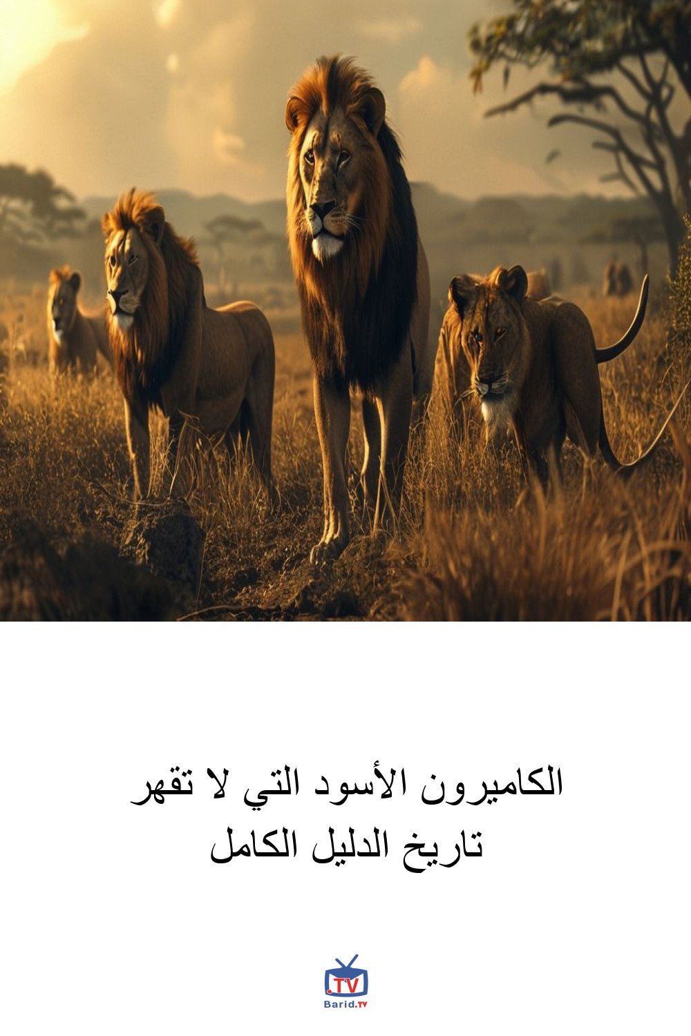 الكاميرون الأسود التي لا تقهر تاريخ الدليل الكامل 4 Pinterest Hidden