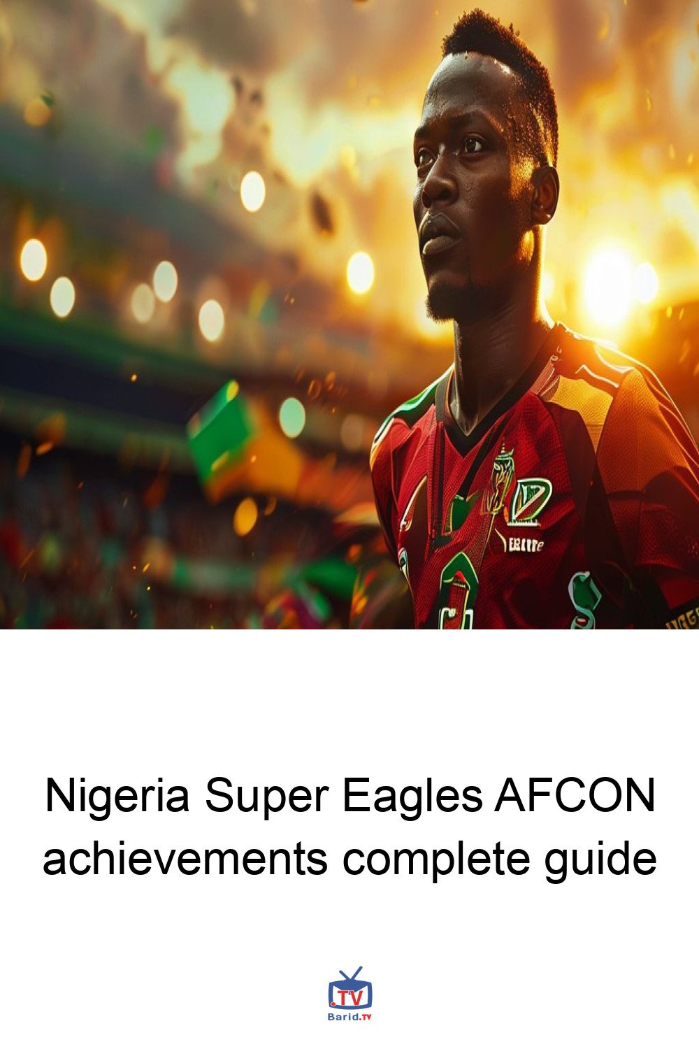 Nigeria Super Eagles AFCON achievements complete guide 4 Pinterest Hidden