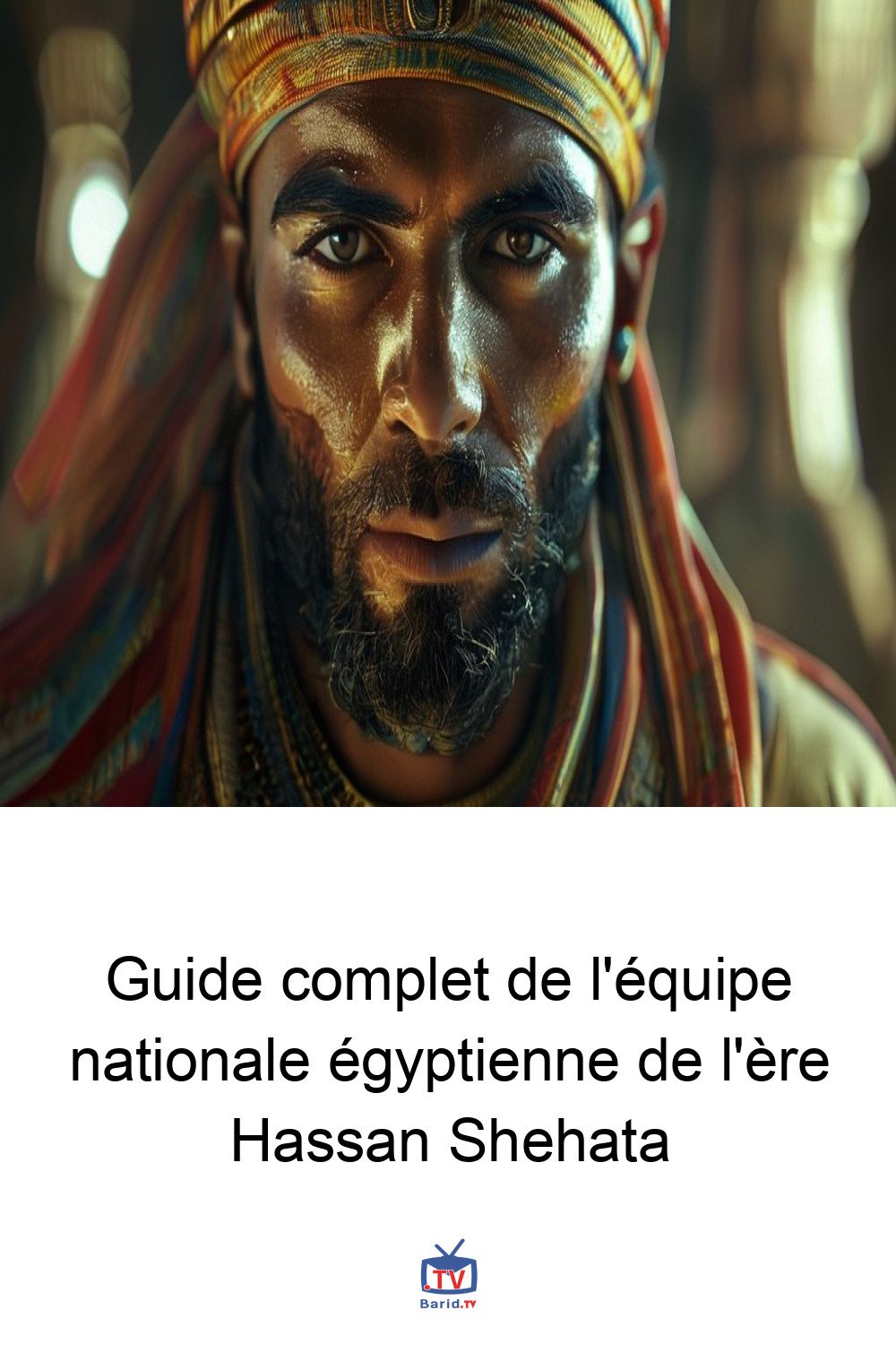 Guide complet de l'équipe nationale égyptienne de l'ère Hassan Shehata 4 Pinterest Hidden