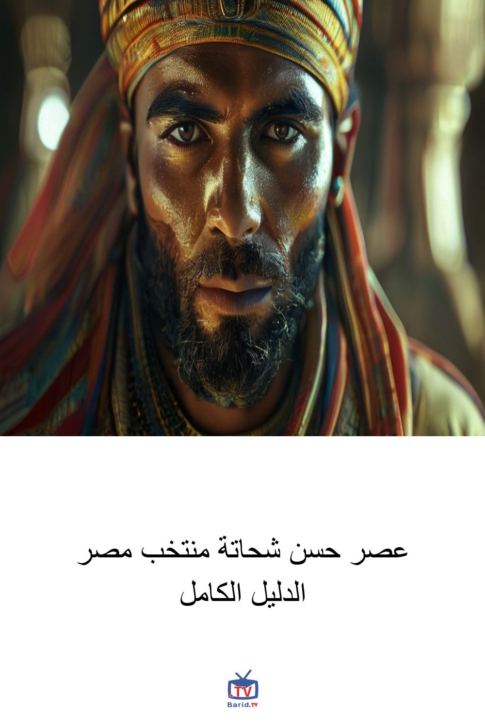 عصر حسن شحاتة منتخب مصر الدليل الكامل 4 Pinterest Hidden