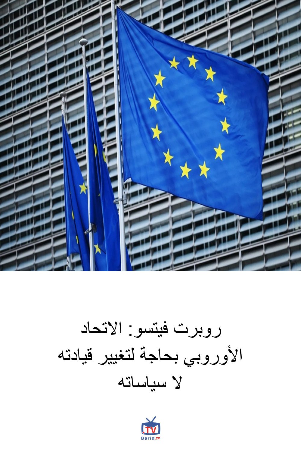 روبرت فيتسو: الاتحاد الأوروبي بحاجة لتغيير قيادته لا سياساته 4 Pinterest Hidden