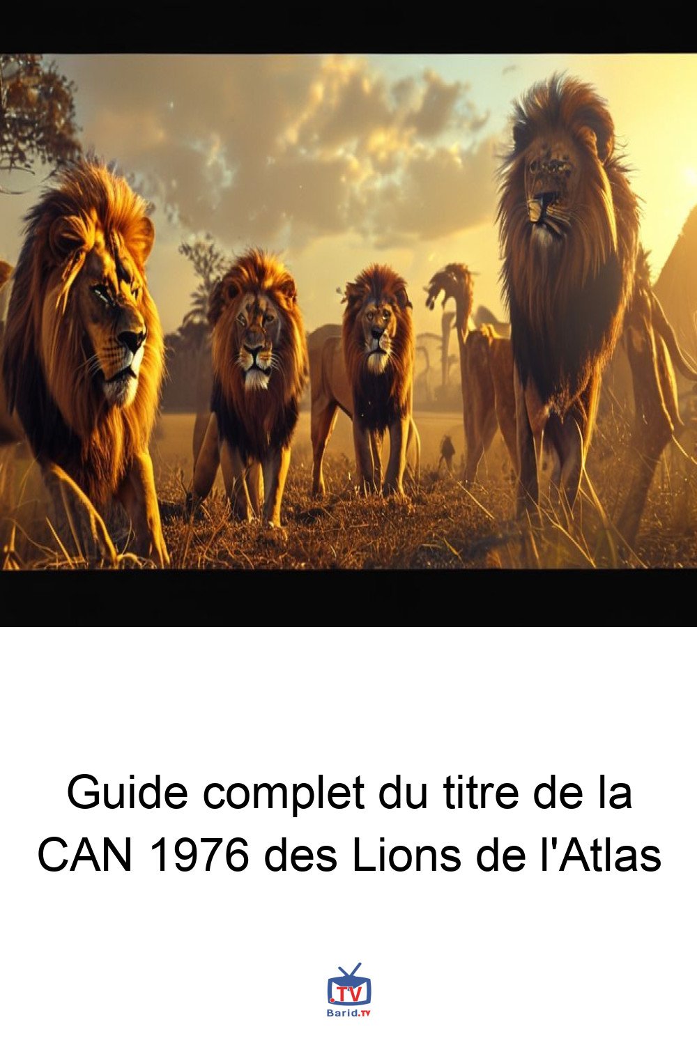 Guide complet du titre de la CAN 1976 des Lions de l'Atlas 4 Pinterest Hidden