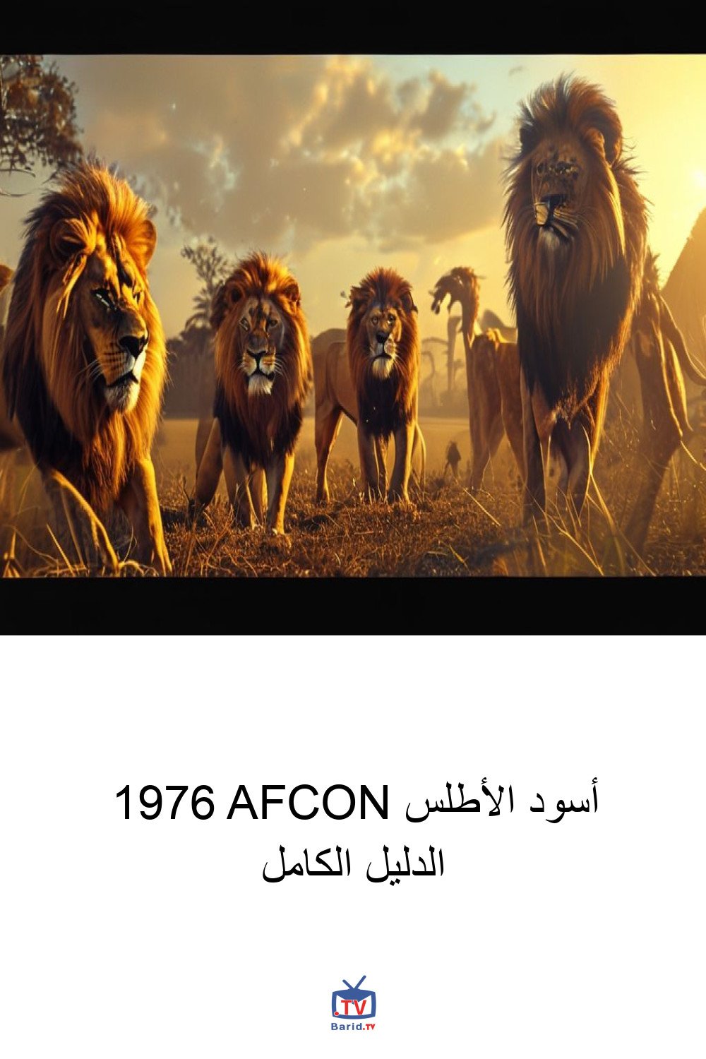 أسود الأطلس 1976 AFCON الدليل الكامل 4 Pinterest Hidden
