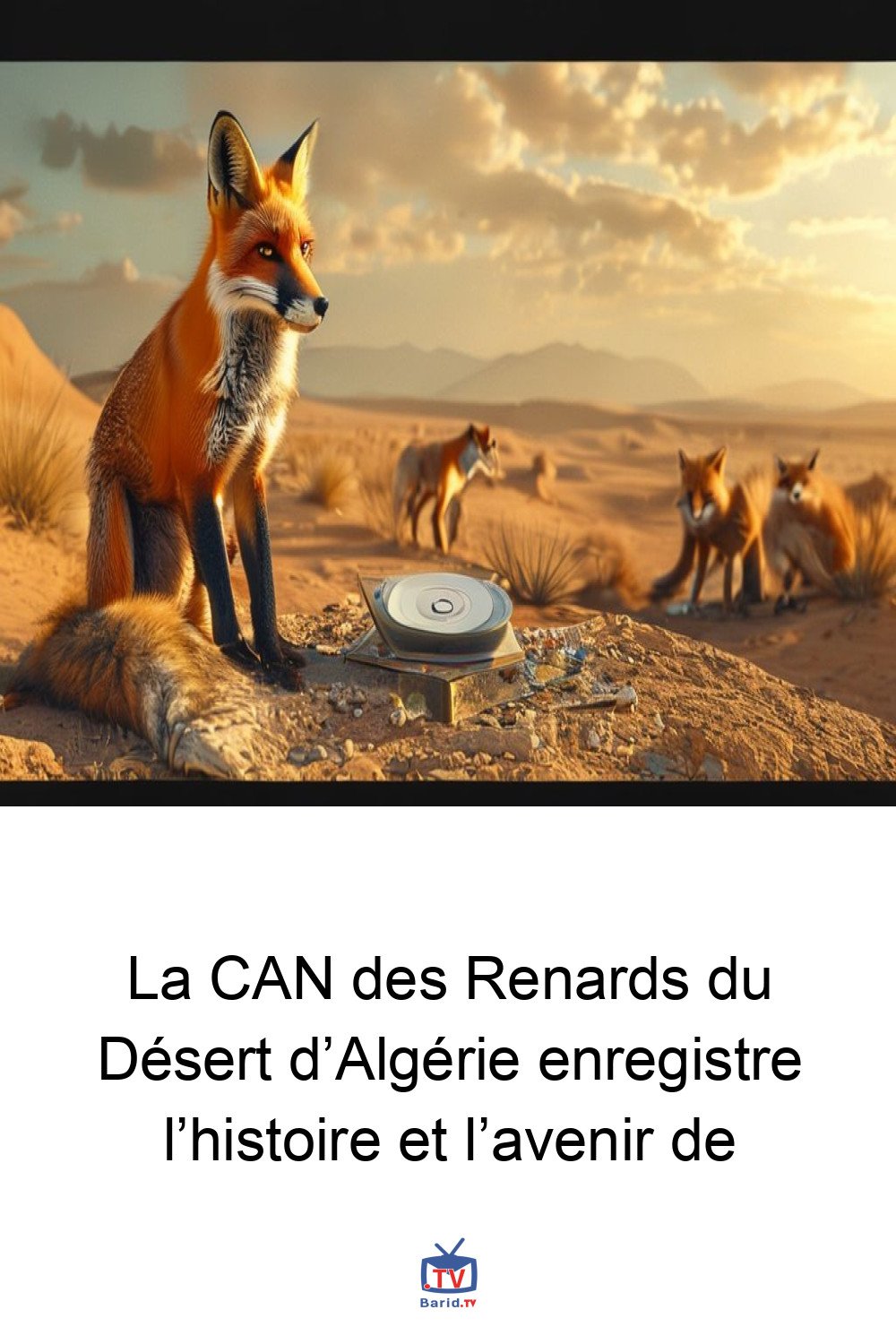 La CAN des Renards du Désert d’Algérie enregistre l’histoire et l’avenir de 4 Pinterest Hidden