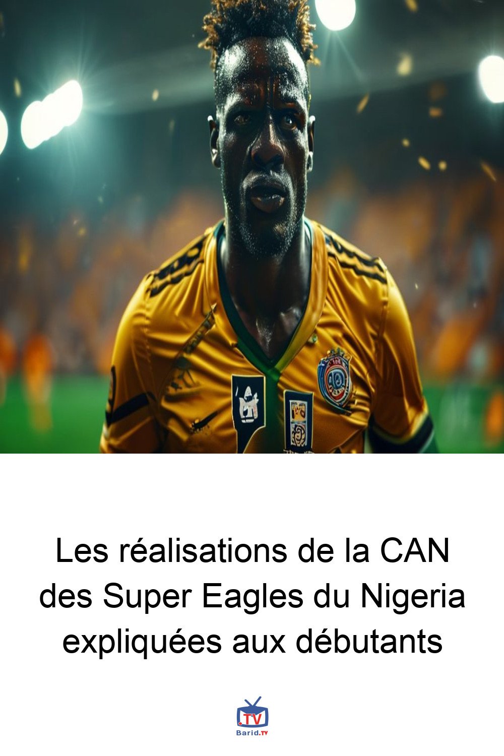 Les réalisations de la CAN des Super Eagles du Nigeria expliquées aux débutants 4 Pinterest Hidden