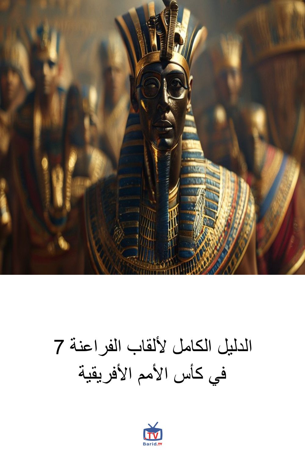 الدليل الكامل لألقاب الفراعنة 7 في كأس الأمم الأفريقية 4 Pinterest Hidden