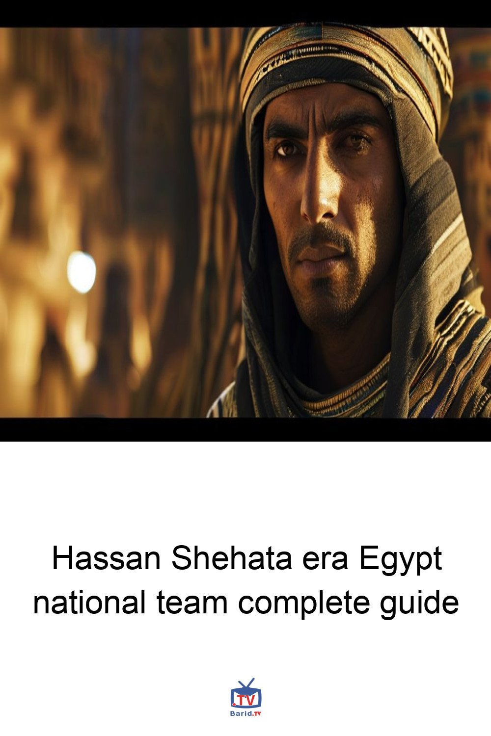 Hassan Shehata era Egypt national team complete guide 4 Pinterest Hidden