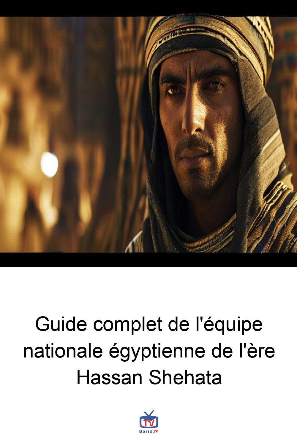 Guide complet de l'équipe nationale égyptienne de l'ère Hassan Shehata 4 Pinterest Hidden