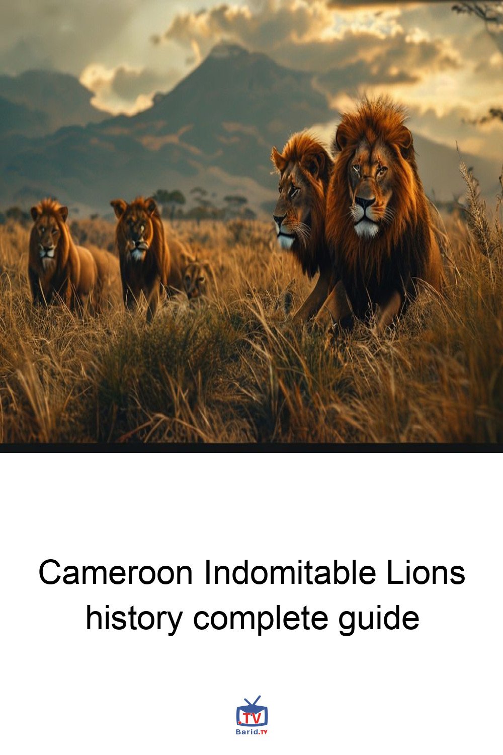Cameroon Indomitable Lions history complete guide 4 Pinterest Hidden