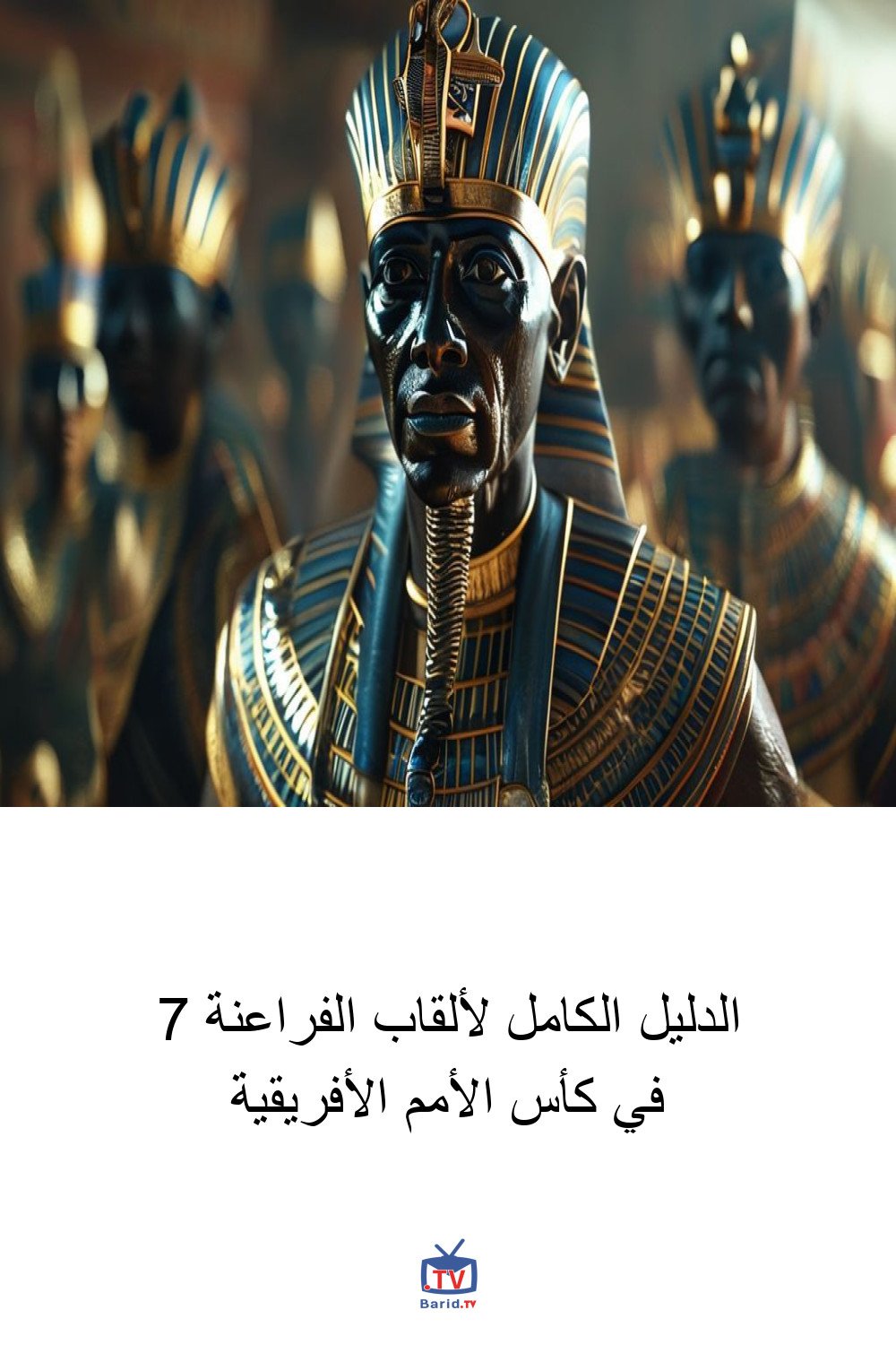 الدليل الكامل لألقاب الفراعنة 7 في كأس الأمم الأفريقية 4 Pinterest Hidden