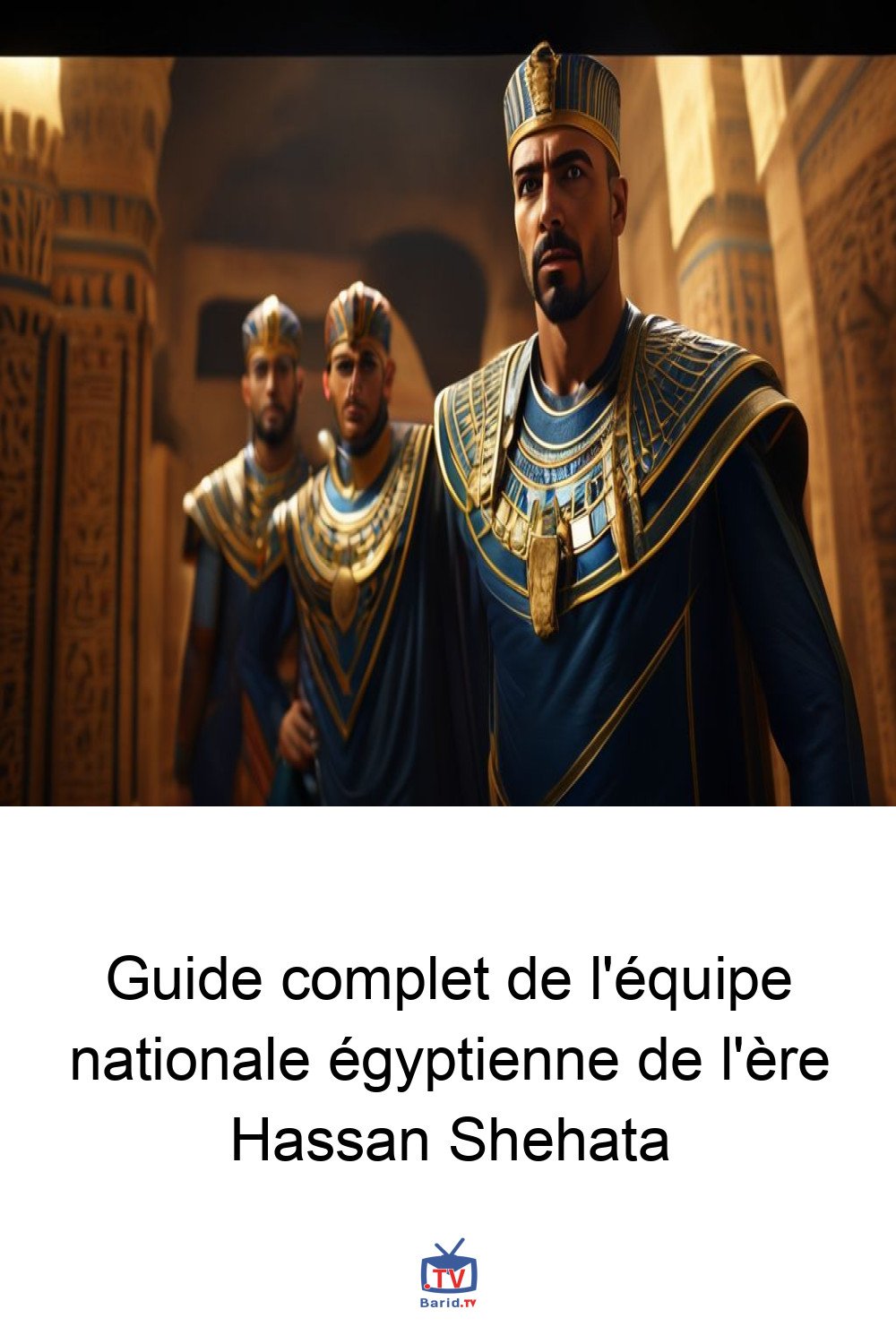 Guide complet de l'équipe nationale égyptienne de l'ère Hassan Shehata 4 Pinterest Hidden