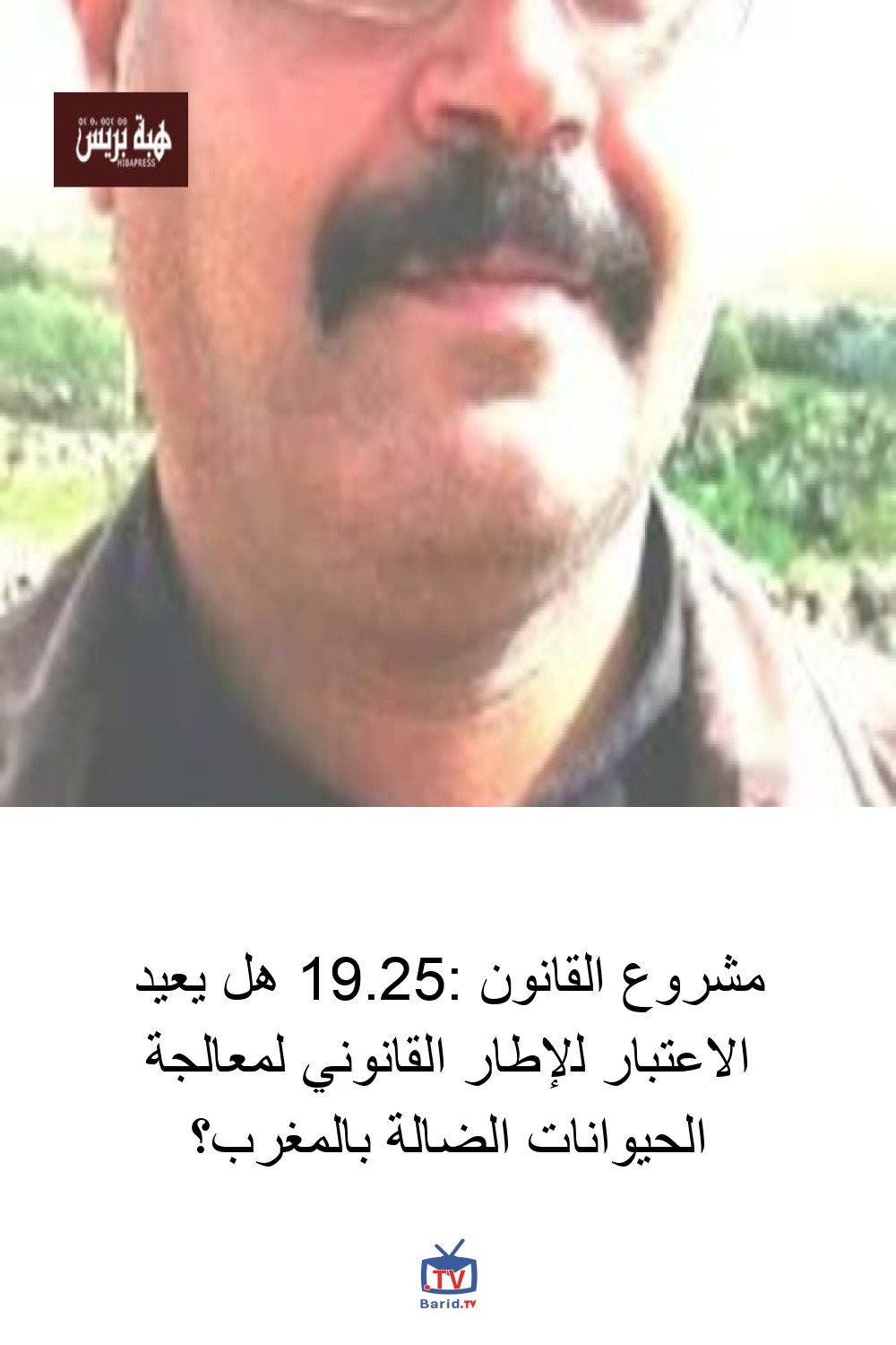 مشروع القانون 19.25: هل يعيد الاعتبار للإطار القانوني لمعالجة الحيوانات الضالة بالمغرب؟ 4 Pinterest Hidden